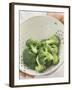 Freshly Washed Broccoli Florets in Sieve-William Lingwood-Framed Photographic Print