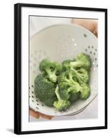 Freshly Washed Broccoli Florets in Sieve-William Lingwood-Framed Photographic Print