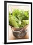 Freshly Washed Salad Leaves in Colander-Foodcollection-Framed Photographic Print