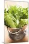 Freshly Washed Salad Leaves in Colander-Foodcollection-Mounted Photographic Print