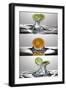 FreshSplash Citrus Triptych-Steve Gadomski-Framed Photographic Print