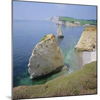 Freshwaster Bay, Isle of Wight, England, UK-Roy Rainford-Mounted Photographic Print