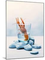 Freshwater Crayfish in a Glass of Water-Tim Thiel-Mounted Photographic Print