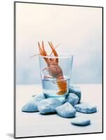 Freshwater Crayfish in a Glass of Water-Tim Thiel-Mounted Photographic Print