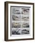 Freshwater Fish, 1897-F Meaulle-Framed Giclee Print