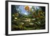 Freshwater fish, Cenote Nicte-Ha, Yucatan Peninsula, Mexico-Franco Banfi-Framed Photographic Print