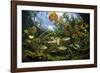 Freshwater fish, Cenote Nicte-Ha, Yucatan Peninsula, Mexico-Franco Banfi-Framed Photographic Print