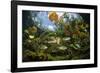 Freshwater fish, Cenote Nicte-Ha, Yucatan Peninsula, Mexico-Franco Banfi-Framed Photographic Print