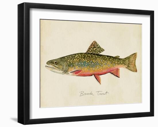 Freshwater Fish Study I-Victoria Barnes-Framed Art Print