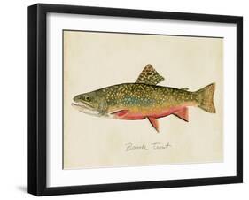 Freshwater Fish Study I-Victoria Barnes-Framed Art Print