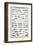 Freshwater Fish-null-Framed Premium Giclee Print