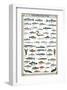 Freshwater Fish-null-Framed Premium Giclee Print