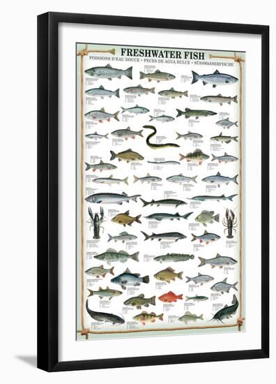 Freshwater Fish-null-Framed Premium Giclee Print