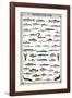 Freshwater Fish-null-Framed Premium Giclee Print