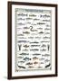 Freshwater Fish-null-Framed Premium Giclee Print