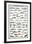 Freshwater Fish-null-Framed Premium Giclee Print