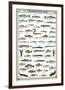 Freshwater Fish-null-Framed Premium Giclee Print