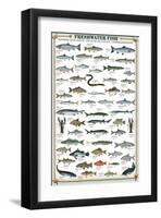 Freshwater Fish-null-Framed Art Print