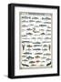 Freshwater Fish-null-Framed Art Print