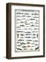 Freshwater Fish-null-Framed Art Print