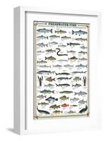 Freshwater Fish-null-Framed Art Print