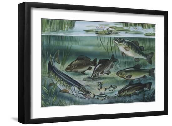 Giclee Print, , large