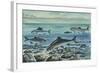 Freshwater Fishes in River-null-Framed Giclee Print