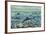 Freshwater Fishes in River-null-Framed Giclee Print