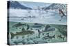 Freshwater Fishes: Mountain River in Winter-null-Stretched Canvas