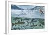 Freshwater Fishes: Mountain River in Winter-null-Framed Giclee Print