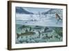 Freshwater Fishes: Mountain River in Winter-null-Framed Giclee Print
