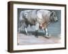 Fresno, Galloway Bull-Mark Adlington-Framed Giclee Print