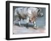 Fresno, Galloway Bull-Mark Adlington-Framed Giclee Print