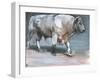 Fresno, Galloway Bull-Mark Adlington-Framed Giclee Print