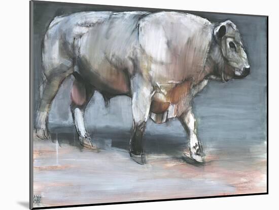 Fresno, Galloway Bull-Mark Adlington-Mounted Giclee Print