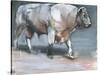 Fresno, Galloway Bull-Mark Adlington-Stretched Canvas