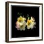 Fressia Pair-Magda Indigo-Framed Photographic Print