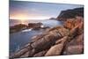 Freycinet National Park, Tasmania, Australia. Sunrise over the Coastline-Matteo Colombo-Mounted Photographic Print