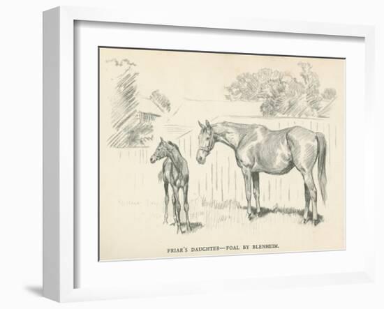 Friar's Daughter - Foal by Blenheim-Lionel Edwards-Framed Premium Giclee Print