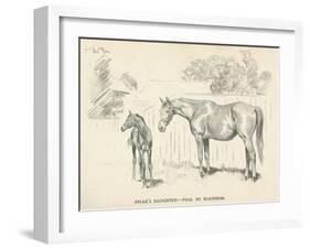Friar's Daughter - Foal by Blenheim-Lionel Edwards-Framed Premium Giclee Print