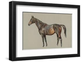 Friar's Daughter-Lionel Edwards-Framed Premium Giclee Print