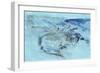 Fribourg-John Ruskin-Framed Giclee Print