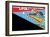 Friction Capsule with Floating Astronaut-null-Framed Premium Giclee Print