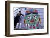 Frida 3-KASHINK-Framed Premium Photographic Print