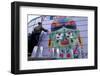 Frida 3-KASHINK-Framed Photographic Print