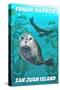 Friday Harbor - San Juan Island, Washington - Harbor Seals-Lantern Press-Stretched Canvas