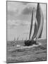 Friday Race Underway from Newport, Rhode Island to Vineyard Haven, Massachusetts-Walter Sanders-Mounted Photographic Print