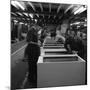 Fridge Assembly Line at the General Electric Company, Swinton, South Yorkshire, 1964-Michael Walters-Mounted Photographic Print