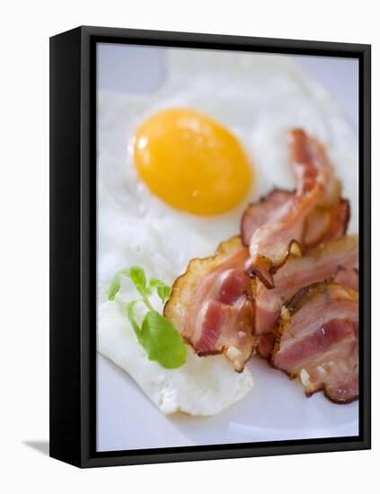 Fried Bacon and Egg-null-Framed Stretched Canvas