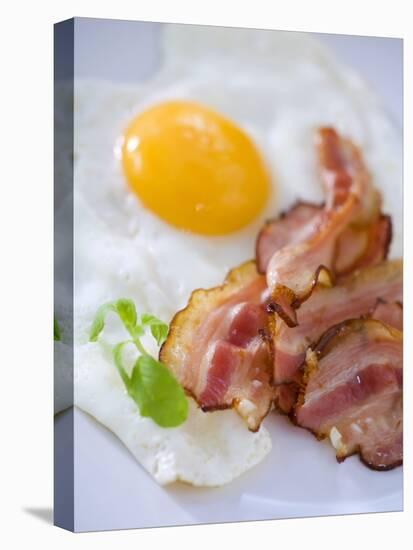 Fried Bacon and Egg-null-Stretched Canvas